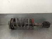 Sto?d?mpfer Links Vorne 7700807873 Renault (B/C40) 1.0
