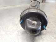 Stoßdämpfer Links Hinten 341801 Ford Fiesta 1 Schrägheck 1.1 L,GL,S,Ghia (GLA(CVH))