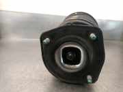 Katalysator PSAK322 Peugeot 407 (6D) Limousine 2.0 HDiF 16V (DW10BTED4(RHR))