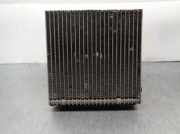 Klima Verdampfer F666902Z Volkswagen Touran (1T1/T2) Großraumlimousine 2.0 TDI 16V 140 (BKD) BKD