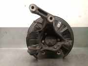 Achsschenkel Halter Rechts Hinten 52720S0000 Hyundai i30 (PDEB5/PDEBB/PDEBD/PDEBE) Schrägheck 2.0 N Turbo 16V Performance (G4KH)