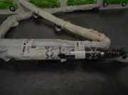 Seiten Airbag RECHTS ACHTER RECHTS ACHTER 985P02659R Renault SCENIC IV Grand Limited