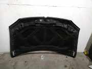 Motorhaube D27DT SsangYong Rodius Gro?raumlimousine 2.7 270 Xdi 20V 4x2 (M665.925(Euro 4))