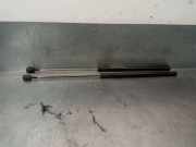 Gasdruckfedern Set Hinten 1349309 Ford Focus 2 Wagon Kombi 1.6 TDCi 16V 110 (G8DA)