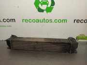 Ladeluftk?hler 1612787 BMW 5 (E39) 530 d