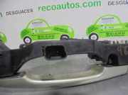 Türgriff Außen Rechts Vorne 8200191065 Renault Vel Satis (BJ) Großraumlimousine 3.0 dCi V6 24V (P9X-701(Euro 3))