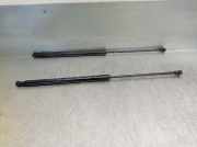 Gasdruckfedern Set Hinten 4081XM Citroën C4 Picasso (UD/UE/UF) Großraumlimousine 1.6 HDiF 16V 110 (DV6TED4(9HZ))