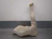 Scheibenwaschbehälter 8200146985 Renault MASTER II PHASE 2 Kombi 1.9 Diesel