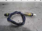 Stoßdämpfer Links Hinten 6K0513031J Seat Cordoba (6C2/6K2) Limousine 1.6i CLX,GLX,SE,Latino,SX (1F)