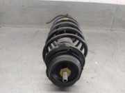 Stoßdämpfer Links Vorne 51857301 Fiat Panda (169) Schrägheck 1.2 Fire (188.A.4000)