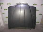Motorhaube GRISOSCURO Rover 800 Fastback Schrägheck 5-drs 820 i,Si 16V (20HD-M16)