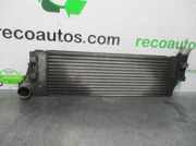 Ladeluftkühler M5506001 Renault II (BM0/1_, CM0/1_) 1.9 dCi