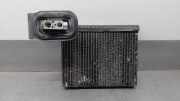 Klima Verdampfer 64116806555 BMW X5 (E70) SUV xDrive 35d 3.0 24V (N57-D30A)