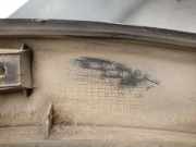 Zierleiste Kotflügel Links Hinten 877432P000 Kia Sorento II (XM) SUV 2.2 CRDi 16V VGT 4x2 (D4HB)