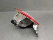 Nebelscheinwerfer Rechts Hinten 51848137 Fiat Panda (312) Schrägheck 1.0 Mild Hybrid (46341162)