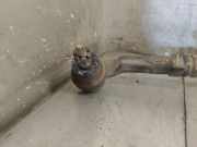 Lenkgetriebe 56500J9100 Hyundai Kona (OS) SUV 1.6 CRDI 115 16V (D4FE)