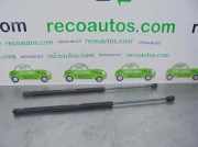 Gasdruckfedern Set Hinten 2N11N406A10AD Ford Fusion Kombi 1.6 16V (FYJA)