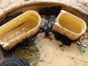 Sicherheitsgurt Rechts Hinten 7561005101AAC SsangYong Musso Geländewagen 2.3D (OM601.940)