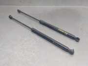 Gasdruckfedern Set Hinten 904507649R Renault II (HF_) TCe 155 (HFMN)