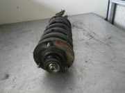 Stoßdämpfer Links Hinten RPB101650 Land + Range Rover Freelander Hard Top Geländewagen 2.0 di (20LTCIE)