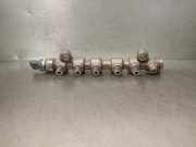 Einspritzdüsen Düsenstock H8200484405 Renault Trafic New (FL) Van 2.5 dCi 16V 145 (G9U-630)