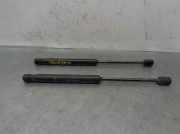 Gasdruckfedern Set Hinten 9658592980 Peugeot 407 (6D) Limousine 2.0 16V (EW10A(RFJ))