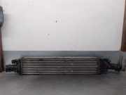 Ladeluftkühler 8U0145803B Audi Q3 (8UB/8UG) SUV 2.0 TDI 16V 140 (CFFB)