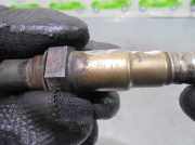 Achsschenkel Halter Rechts Vorne 2E0407304M Volkswagen Crafter Ch.Cab/Pick-up 2.5 TDI 30/32/35/46/50 (BJK) BJK