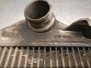 Ladeluftkühler 144617F404 Nissan Terrano II (R20/TR50) Geländewagen 2.7 TDi (TD27TI)