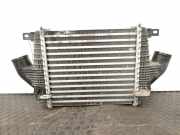 Ladeluftkühler 14461MA70A Nissan Cabstar (F22) Ch.Cab/Pick-up 35.13/45.13 DCI (YD25DDTi)