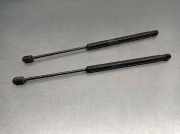 Gasdruckfedern Set Hinten 9639853880 Citroën C3 (FC/FL/FT) Schrägheck 5-drs 1.6 HDi 16V 92 (DV6ATED4(9HX))