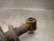 Sto?d?mpfer Rechts Hinten 22169581 Opel Vectra B (36) Limousine 2.0 Di 16V (X20DTL)