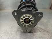 Sto?d?mpfer Rechts Vorne 543037413R Smart Forfour (453) Schr?gheck 5-drs 1.0 12V (H4D-A4)