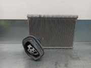 Klima Verdampfer H1392009 Audi A4 (B8) Limousine 2.0 TFSI 16V (CDNB)