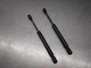 Gasdruckfedern Set Hinten 3B5827550A Volkswagen B5 (3B2) 1.9 TDI ATJ