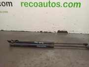 Gasdruckfedern Set Hinten 96617850 Daewoo / Chevrolet Nubira Wagon Kombi 2.0 TCDI 16V (LMN)