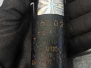 Stoßdämpfer Links Hinten 5620035G25 Nissan King Cab/Pickup 4x4 (D22) Pick-up 2.5 Tdi (TD25i)