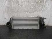 Ladeluftkühler 51855481 Fiat 500 (312) Schrägheck 0.9 TwinAir 85 (312.A.2000)