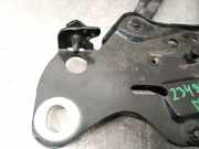 Motorhaubescharnier 7418202 BMW X6 (G06) SUV xDrive 40d Mild Hybrid 3.0 24V (B57-D30B)