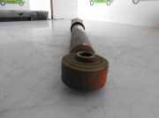 Stoßdämpfer Links Hinten 4180080GB0 Suzuki Ignis (FH) Schrägheck 1.3 16V 4x4 (M13A)