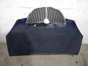Motorhaube 51732277 Lancia Musa Großraumlimousine 1.3 JTD Multijet 90 (199.A.3000)