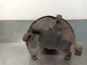 Achsschenkel Halter Rechts Vorne 504164492 Iveco DAILY CAJA CERRADA (2006 =>) 2.3 Diesel