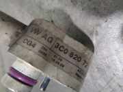 Grill 1308067070 Fiat Ducato (250) Ch.Cab/Pick-up 2.3 D 120 Multijet (F1AE0481D)