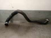 Schlauch 215018090R Dacia Sandero III Schrägheck 1.0 TCe 90 12V (H4D-470(H4D-E4))