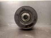 Kurbelwellen-Riemenscheibe G9UB632 Renault Trafic New (FL) Van 2.5 dCi 16V 145 (G9U-630)