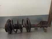 Stoßdämpfer Links Vorne MR198065 Mitsubishi (N80/N90) 2.4 GDI CAT