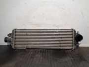Ladeluftkühler 8200219497 Renault TRAFIC CAJA CERRADA (AB 4.01) 2.5 dCi Diesel CAT
