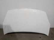 Motorhaube 7901P7 Citroën CITROËN Furgoneta/monovolumen (B9) 1.6 HDi 90