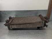 Ladeluftkühler CV619L440VC Ford FOCUS LIM. 1.0 EcoBoost CAT