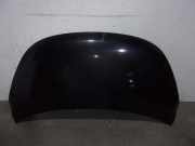 Motorhaube 664000X020 Hyundai 1.1 12V CAT